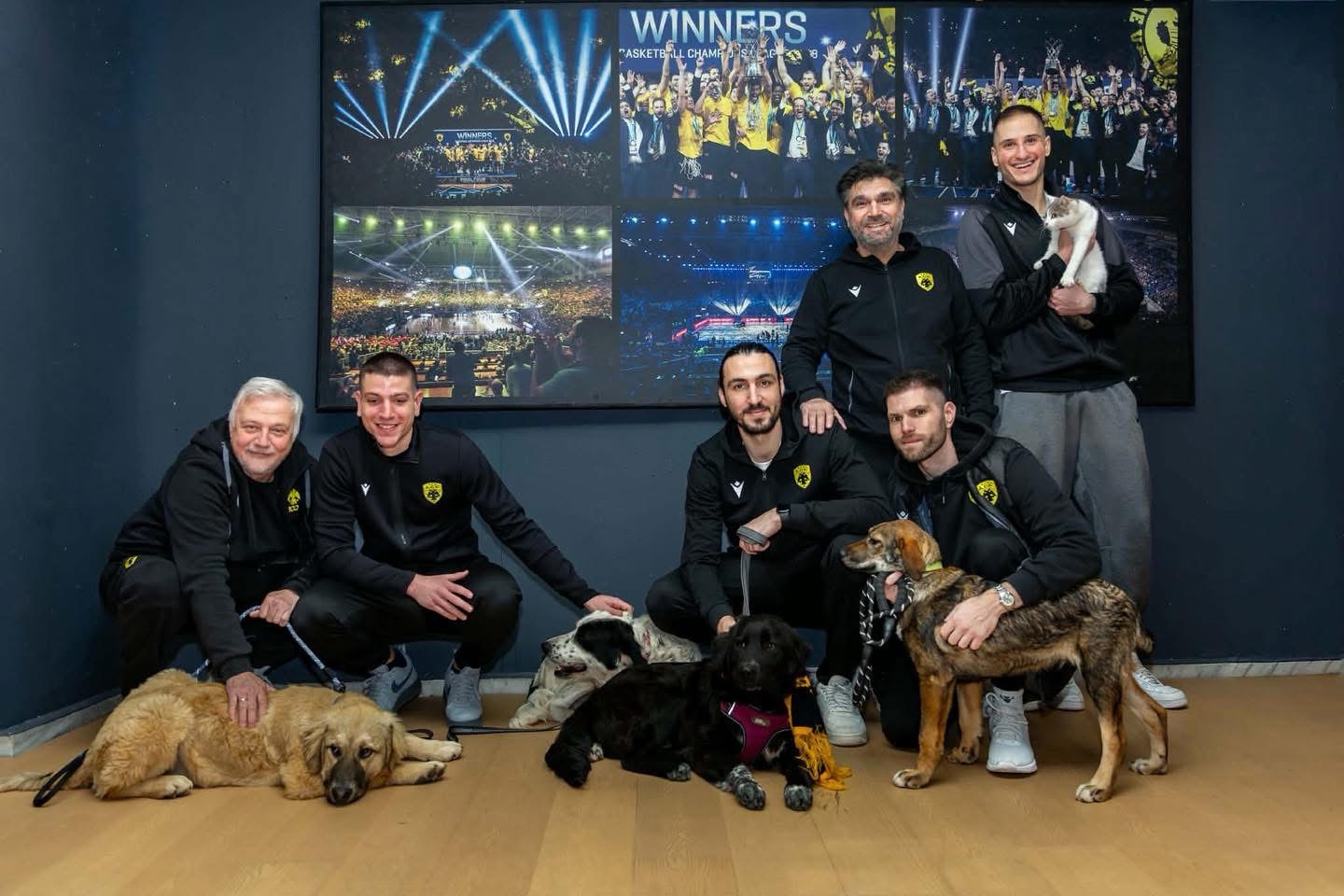 Η ΚΑΕ ΑΕΚ δίπλα στα αδέσποτα! (ΦΩΤΟ)